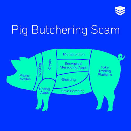 Pig Butchering Scam Recovery: Can You Recover Stolen Crypto? What Victims Should Know (2026) 1 Pig Butchering Scam Recovery