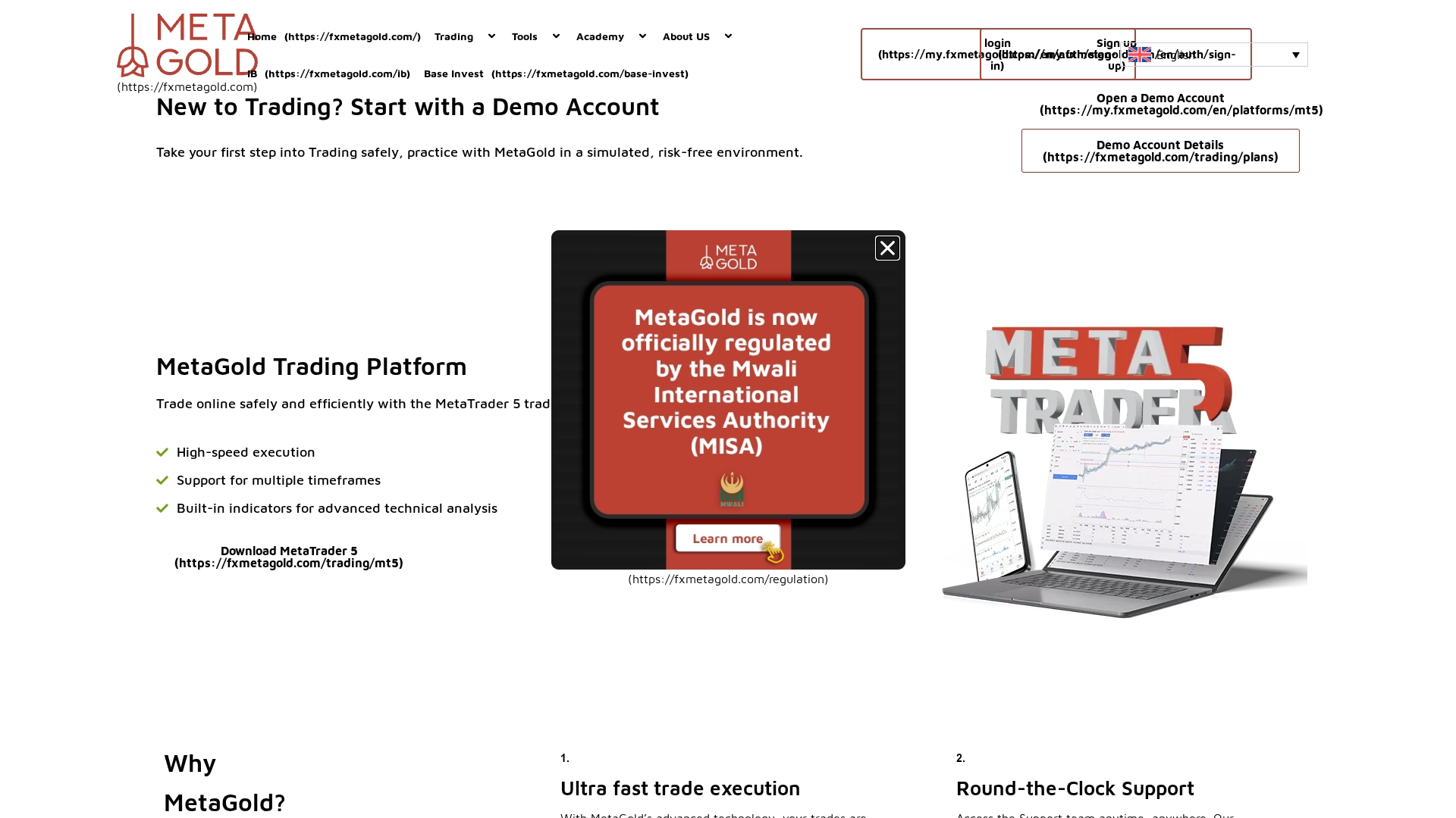 fxmetagold Review: What We Could Verify About This Platform