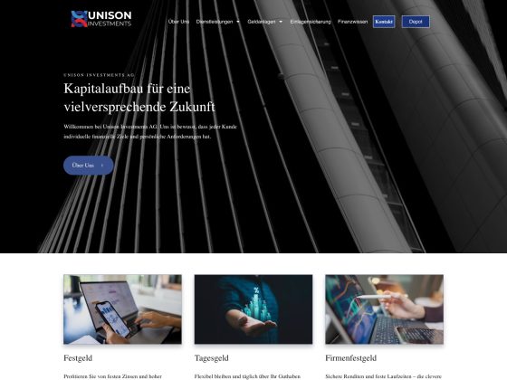 Unison Investment Review: What We Found